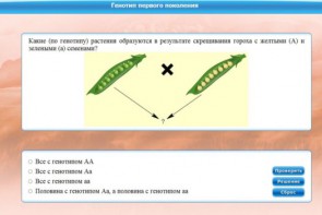 Интерактивные курсы. Биология 11 класс. Базовый. - fgospostavki.ru - Шуя