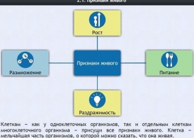Интерактивные курсы. Биология 5 класс. Базовый - fgospostavki.ru - Шуя