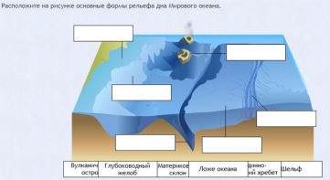 Интерактивные курсы. География 7 класс . Базовый. - fgospostavki.ru - Шуя