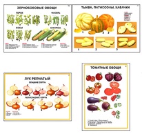 Плакаты ПРОФТЕХ "Ассортимент овощных культур" (12 пл, винил, 70х100) - fgospostavki.ru - Шуя
