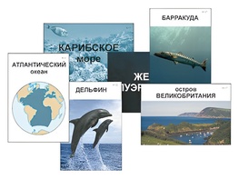 Модель-аппликация "Океаны. Знакомство" (ламинированная) - fgospostavki.ru - Шуя