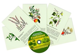 Интерактивный наглядный комплекс "Гербарий "Для начальной школы" - fgospostavki.ru - Шуя