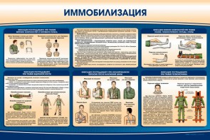 Стенд "Иммобилизация" - fgospostavki.ru - Шуя