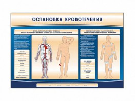 Электрифицированный стенд-тренажер "Остановка кровотечения" - fgospostavki.ru - Шуя