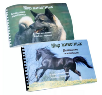 Пособие для слабовидящих - Домашние животные - fgospostavki.ru - Шуя