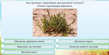 Интерактивные курсы. Окружающий мир 3 класс . Базовый. - fgospostavki.ru - Шуя