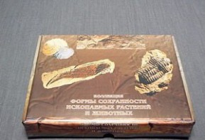 Коллекция "Формы сохранности ископаемых растений и животных" - fgospostavki.ru - Шуя