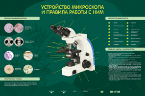 Электрифицированный стенд "Устройство микроскопа и правила работы c ним" - fgospostavki.ru - Шуя