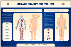 Электрифицированный стенд-тренажер "Остановка кровотечения" - fgospostavki.ru - Шуя