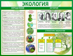 Стенд "Экология" - fgospostavki.ru - Шуя