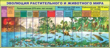 Стенд "Эволюция растительного и животного мира" - fgospostavki.ru - Шуя
