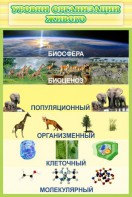 Стенд "Уровни организации живого" - fgospostavki.ru - Шуя
