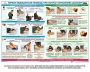 Комплект плакатов "Оказание первой доврачебной медицинской помощи" - fgospostavki.ru - Шуя