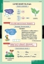 Комплект таблиц. Русский язык. Обучение грамоте 2 класс. - fgospostavki.ru - Шуя
