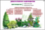 Комплект кодотранспарантов "Культурные растения" - fgospostavki.ru - Шуя