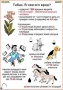 Комплект кодотранспарантов "Ядовитые растения" - fgospostavki.ru - Шуя